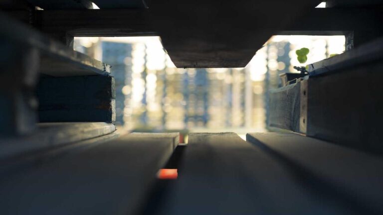 Is 11Xplay Online Pro Login Accessible Outside India?