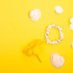 Reddybook Review: Transforming Digital Publishing and the Role of 11xplay Integration